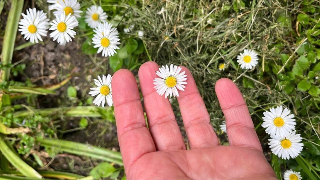 Foto: Aída B. Britto