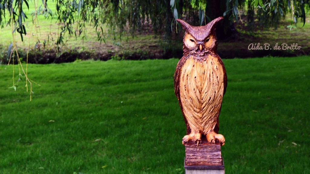 Foto: Aída B. Britto