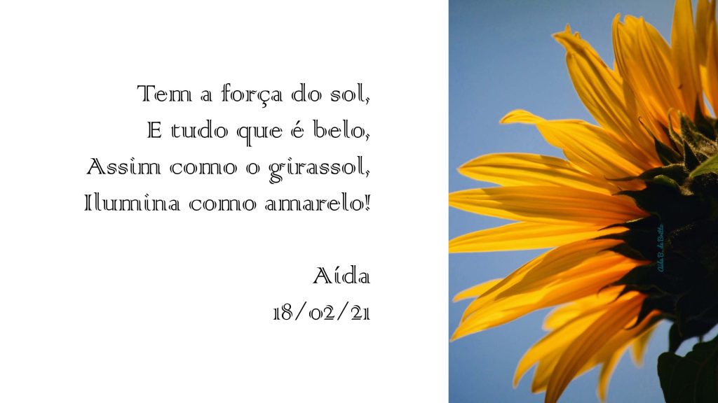 Foto: Aída B. Britto