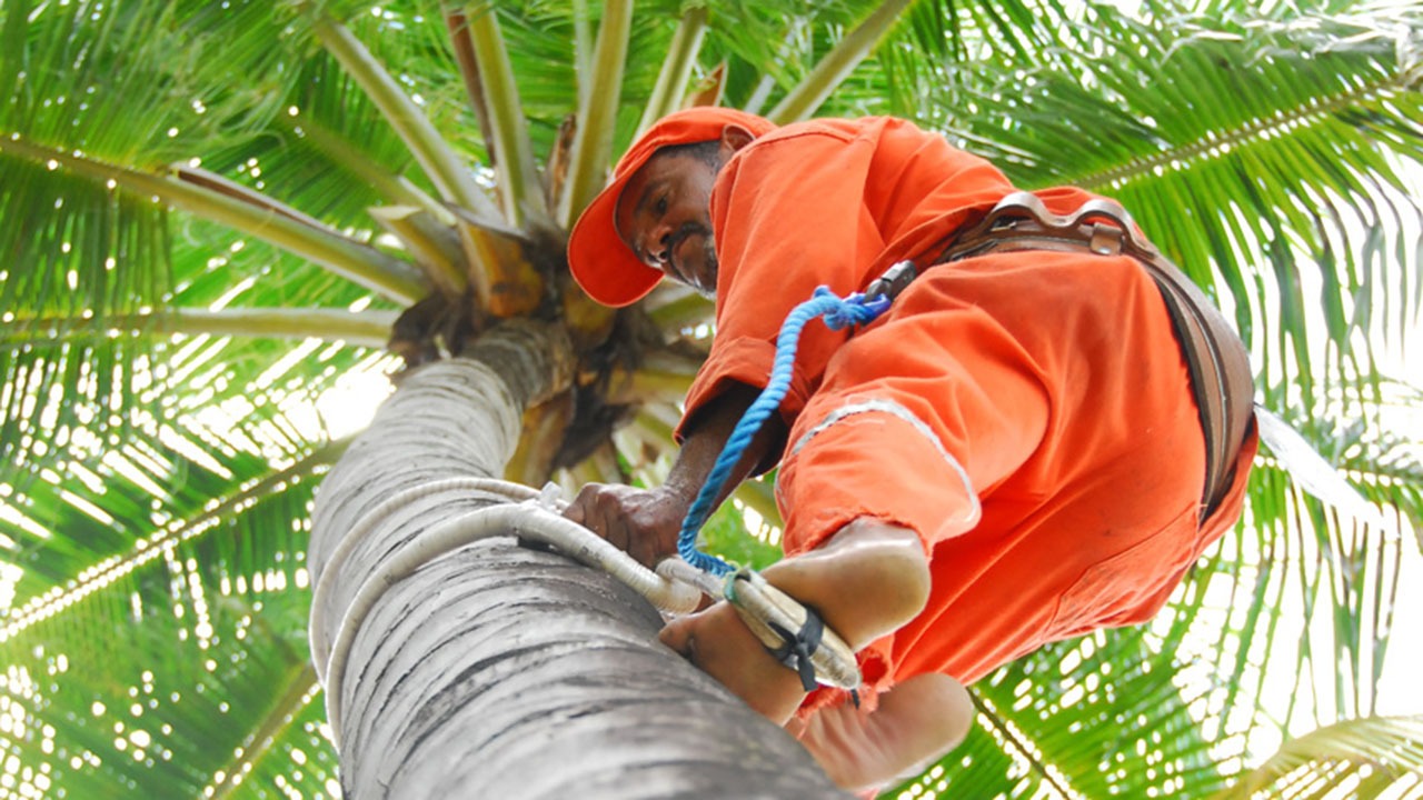 Foto: LulaCastelloBranco