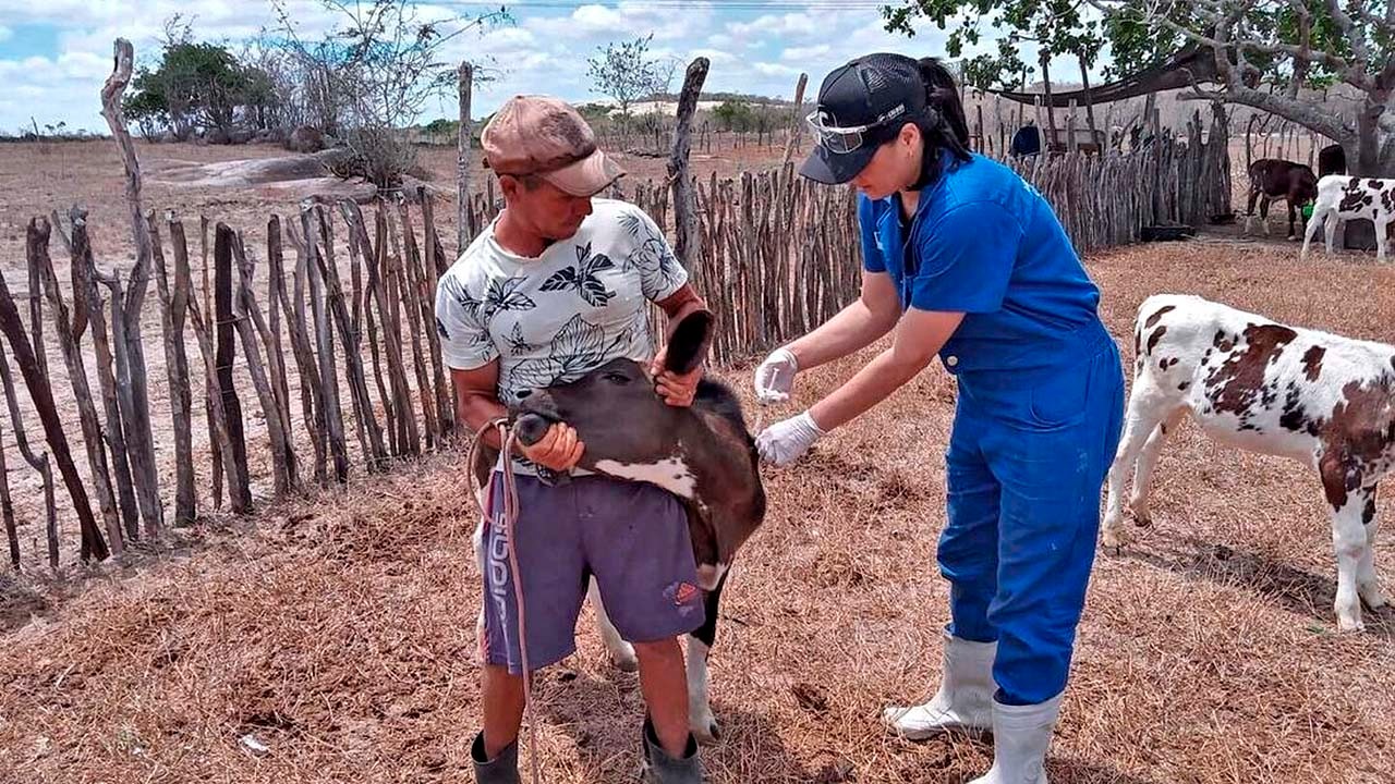 Foto: Divulgação/Adrago