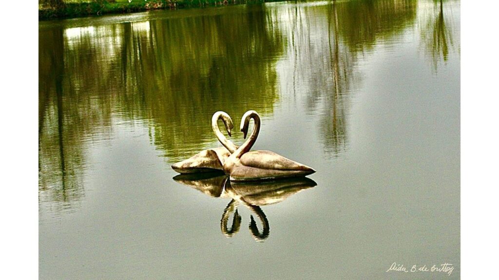 ©AídaB.Britto